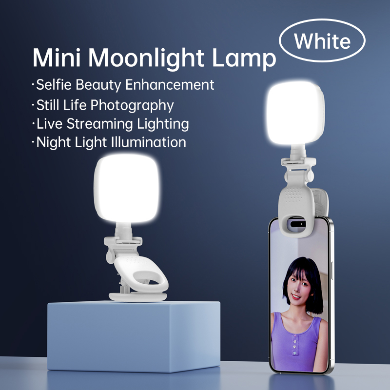 Photography Lighting Patterns - Tragbare Mini-LED-Selfie-Leuchte mit Clip, dimmbar, Beauty-Lampe