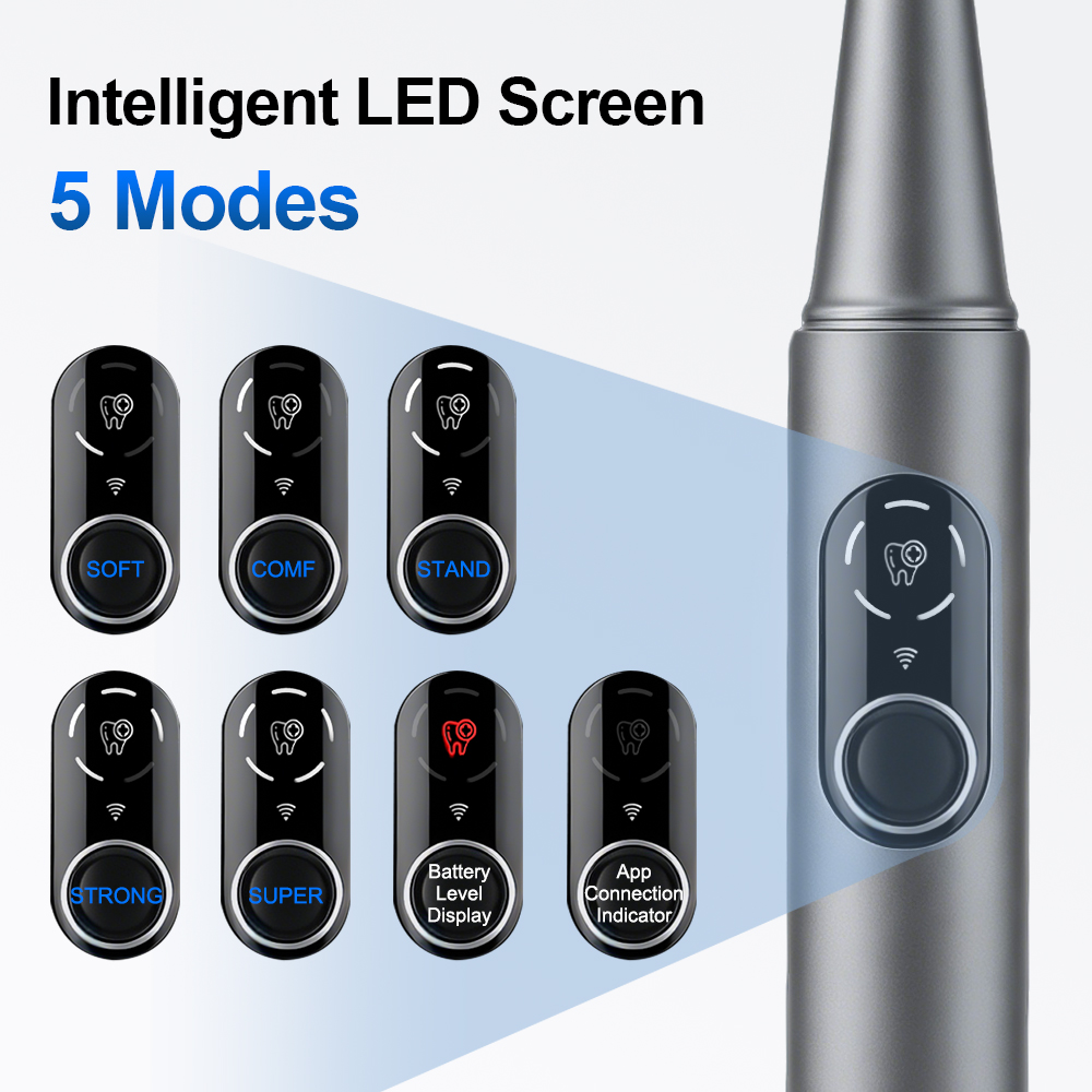 Neuer Visueller Ultraschall-Za – Photography Lighting Patterns Bewertung und Preis
